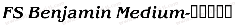 FS Benjamin Medium字体转换